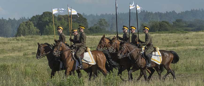 Uses Of Horses Throughout History