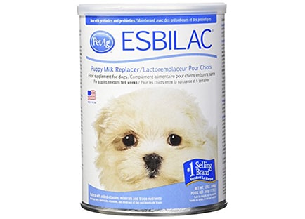 Is milk bad for a dog - Esbilac lactose free milk