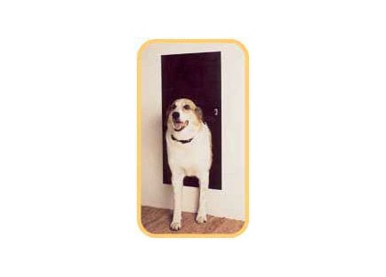 Best Smart Pet doors - Solo Pet Doors Automatic pet Door
