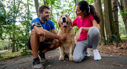 Male Vs. Female Golden Retrievers