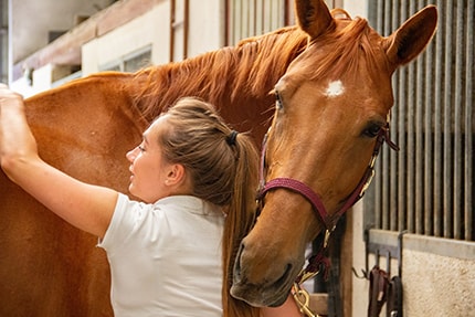 Hippotherapy and Its Benefits