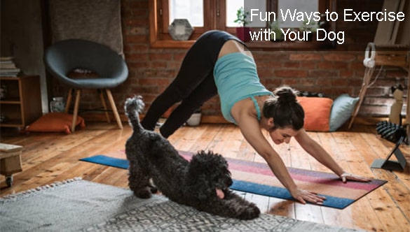 7 Fun Ways to Exercise with Your Dog