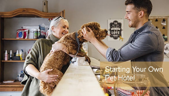 Starting Your Own Pet Hotel? Don’t Make These 5 Mistakes